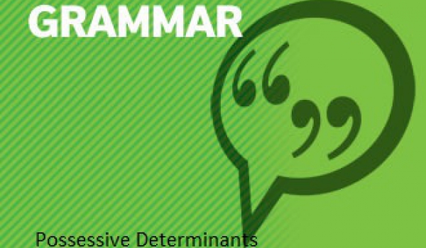 Possessive determinants