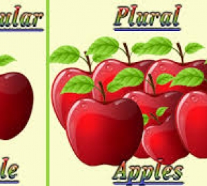 Singular and Plural